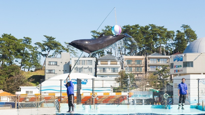 【松島水族館チケット付】イルカにペンギン♪海の生き物に会いに行こう